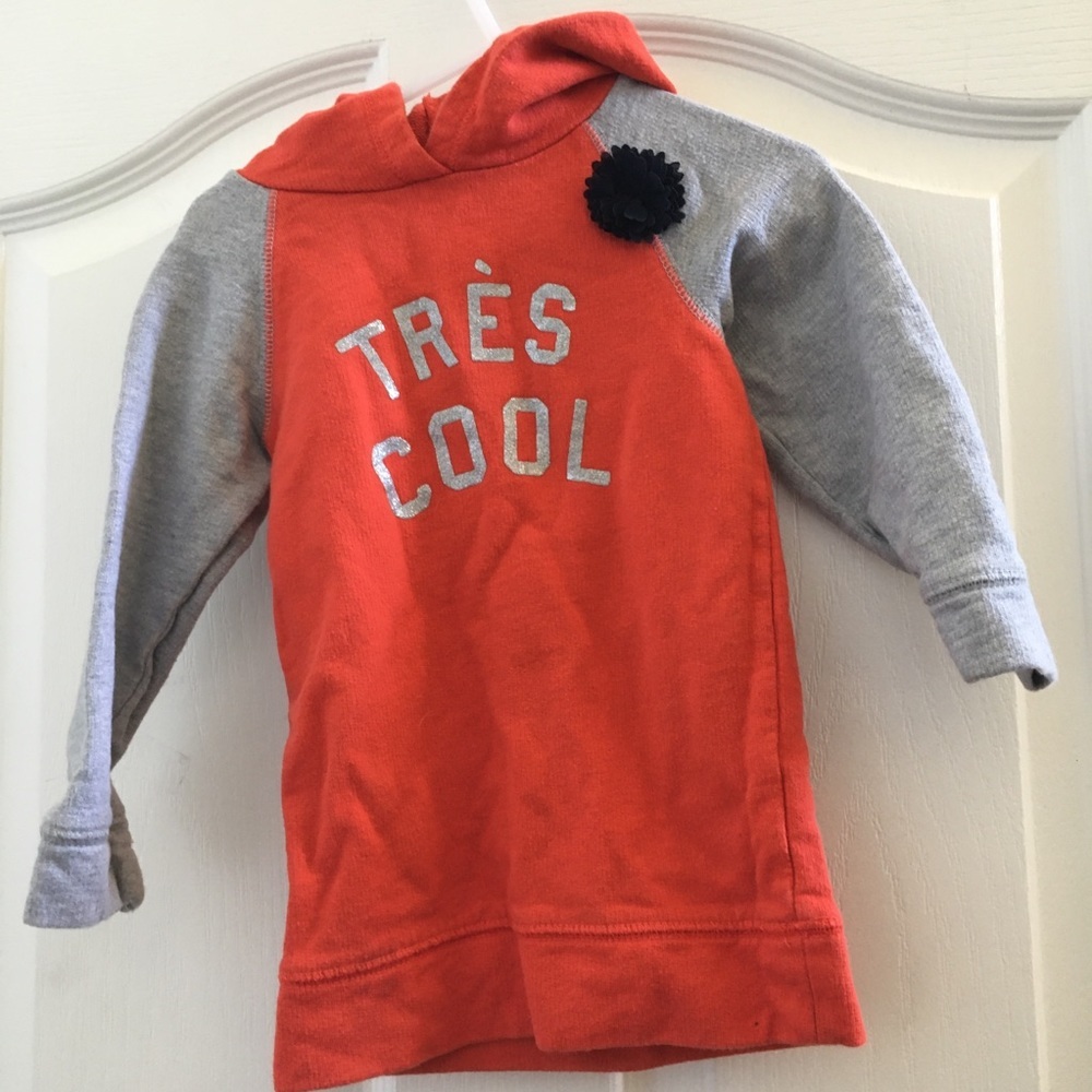 FINAL MARKDOWN Oshkosh French terry hoodie 3t
